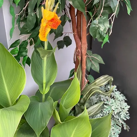 Luxus Airport Apartment Cluj-Napoca