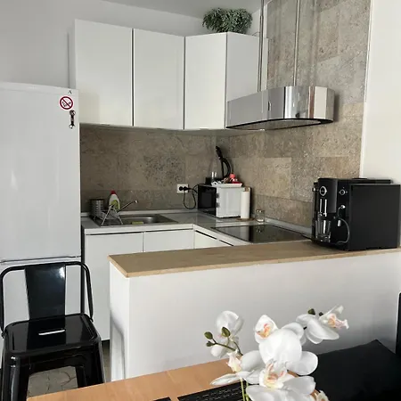 Luxus Airport 클루지나포카