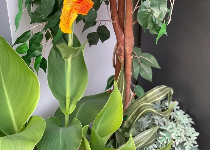 Luxus Airport דירה קלוז'-נאפוקה